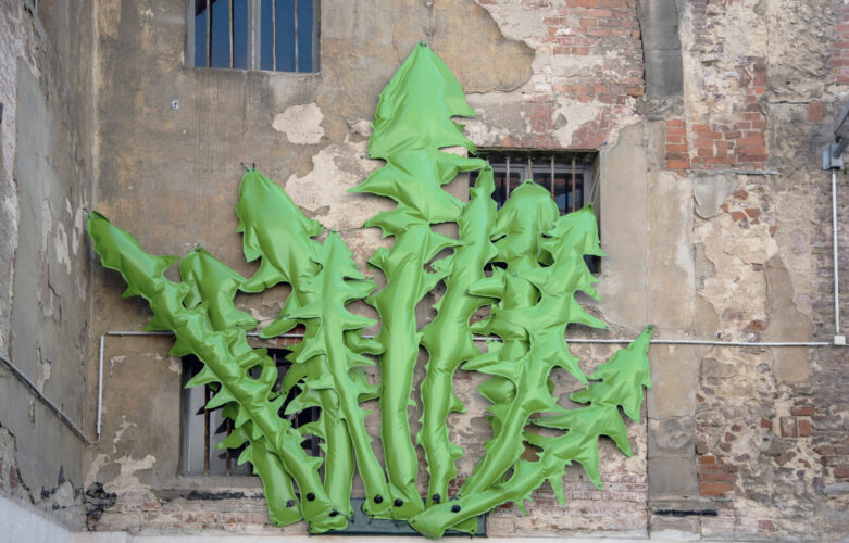 pneumatische Skulptur 
grüne Löwenzahnblätter aufgeblasen an Fassade