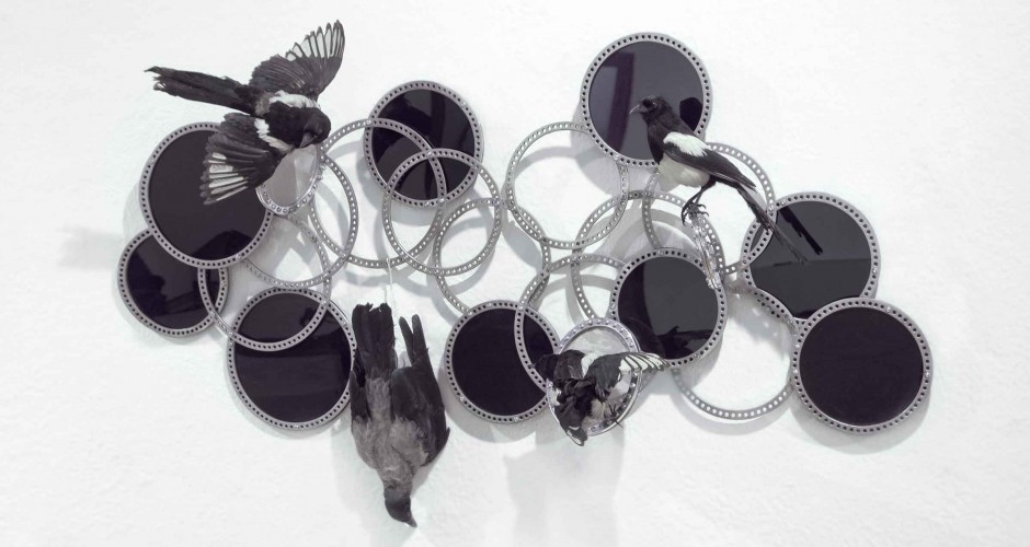 image still life with magpies